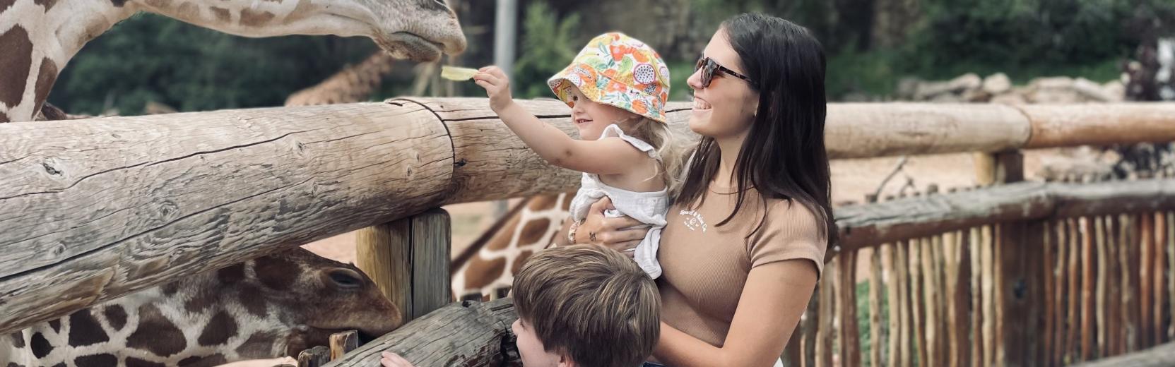 Au pair negli Stati Uniti Au pair con due bambini ospitanti allo zoo mentre danno da mangiare alle giraffe